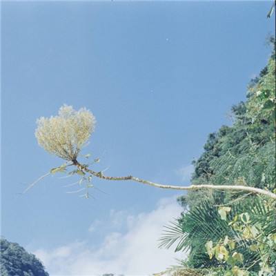 汉王传奇手游(暂未上线)v1.0 官方安卓版